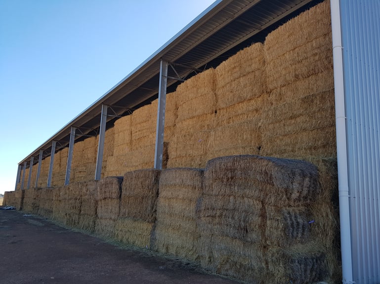 Large steel hay shed containing square hay bales