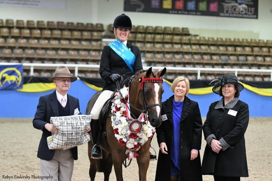 Equestrian facility