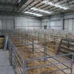 Livestock sheds