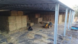 Hay sheds