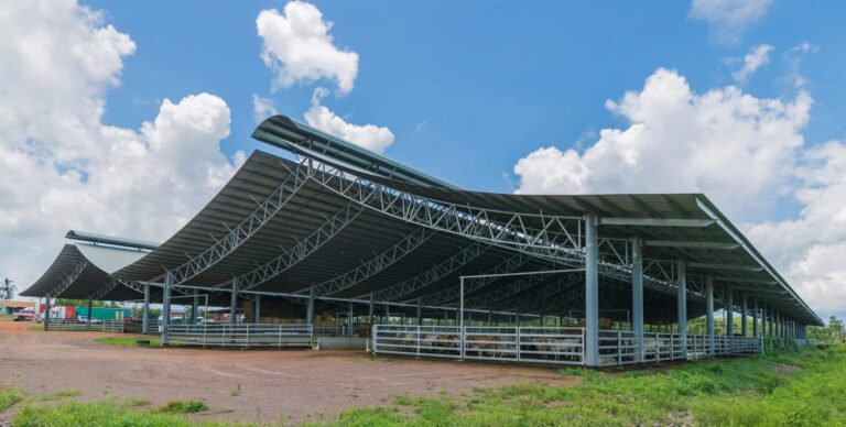 Auspan RIDGEBACK® Feedlot and Dairy Sheds A62I9067 HDR