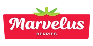Auspan Home Marvelus Berries.psd