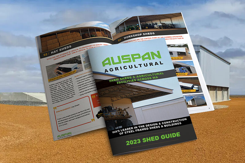 Auspan group