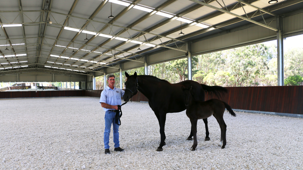 Auspan Equine Oakford Equine Hospital 7