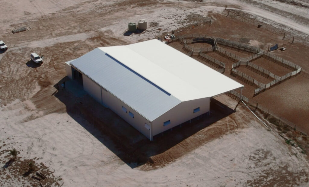 Auspan Shearing Sheds Shearing Hinkley 2