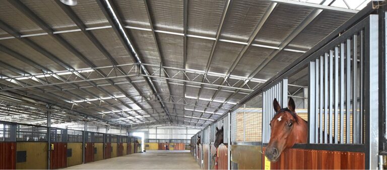 Auspan Equine project114 horse stables 3 1