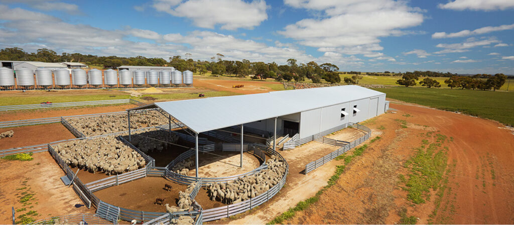 Auspan Shed Design and Construction project131 shearing shed 1 2 1