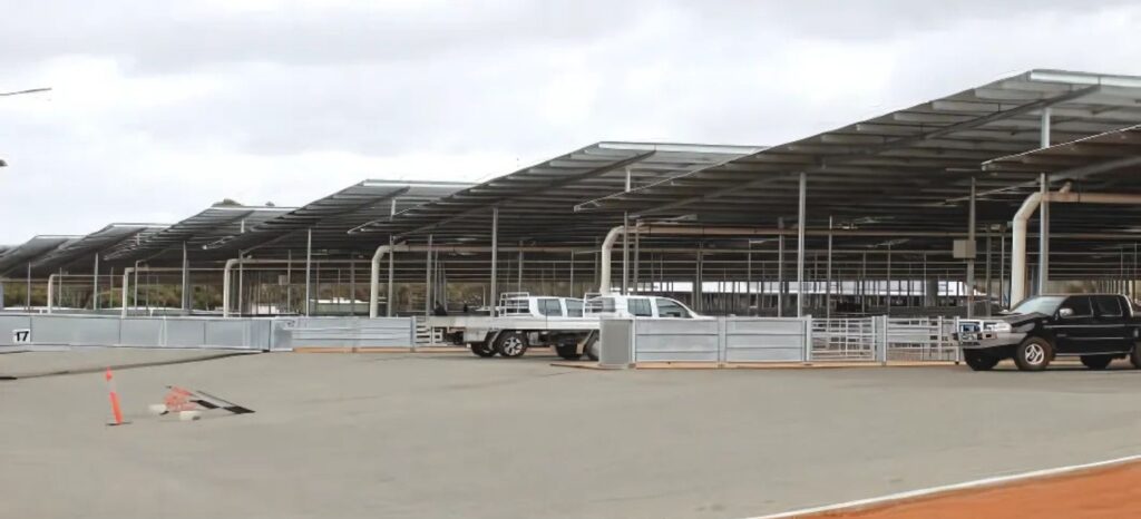 AUSPAN Stockyard Covers AUSPAN 2025 SHED GUIDE Print compressed.pdf