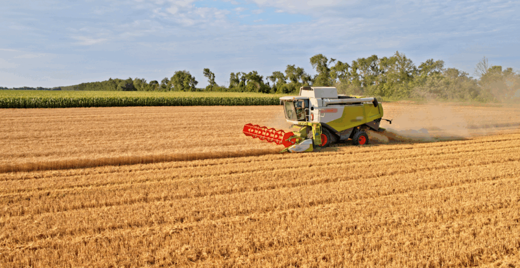 Screenshot 2025 11 14 140421