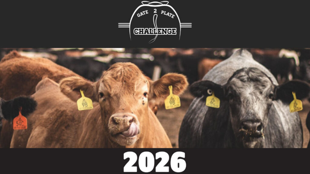 Screenshot 2026 03 12 142558